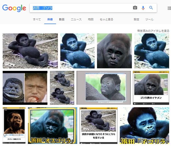 Google画像検索で「浜田　ゴリラ」と検索した検索結果